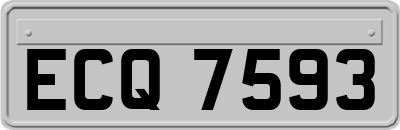 ECQ7593