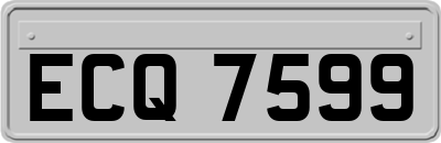 ECQ7599