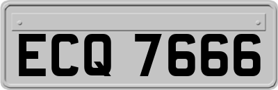 ECQ7666