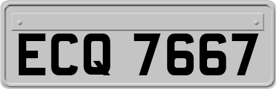 ECQ7667