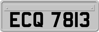 ECQ7813