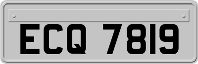 ECQ7819