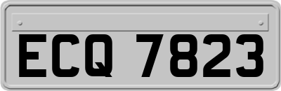 ECQ7823