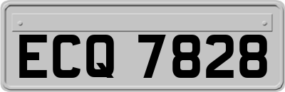 ECQ7828
