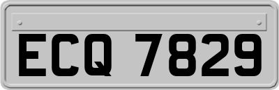 ECQ7829