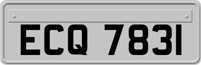 ECQ7831