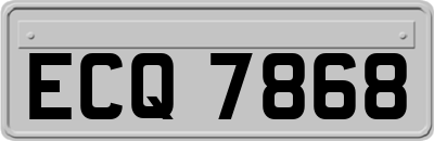 ECQ7868