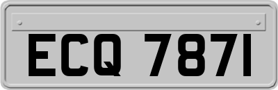 ECQ7871