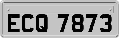 ECQ7873