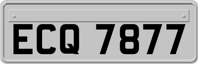 ECQ7877
