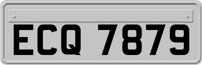 ECQ7879
