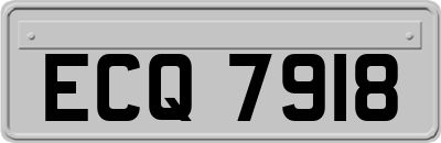 ECQ7918
