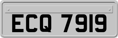 ECQ7919