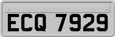 ECQ7929