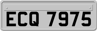 ECQ7975