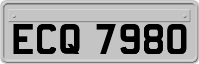 ECQ7980
