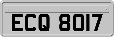 ECQ8017