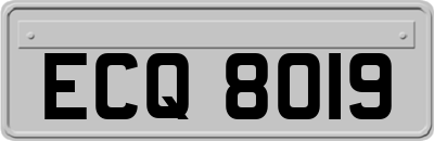 ECQ8019