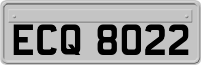 ECQ8022