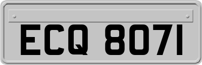 ECQ8071