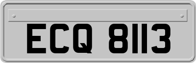 ECQ8113