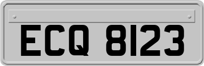 ECQ8123