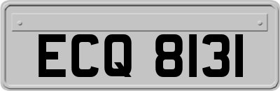 ECQ8131