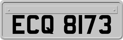 ECQ8173