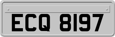 ECQ8197