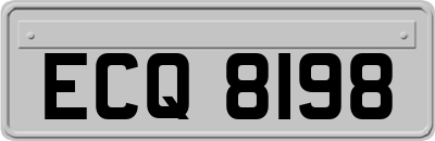 ECQ8198