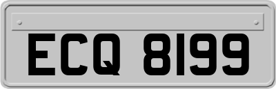 ECQ8199