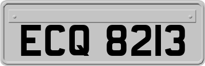 ECQ8213