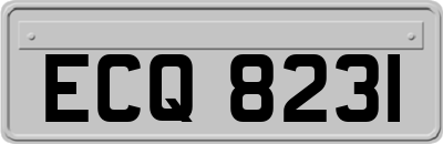 ECQ8231