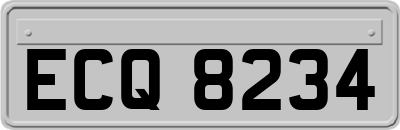 ECQ8234