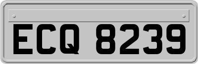 ECQ8239