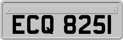 ECQ8251