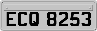 ECQ8253