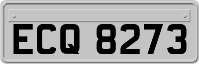 ECQ8273
