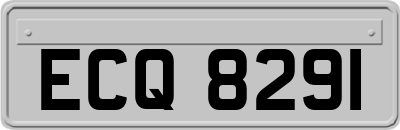 ECQ8291