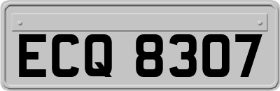 ECQ8307