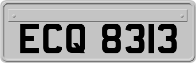ECQ8313