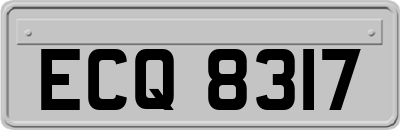 ECQ8317