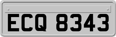 ECQ8343