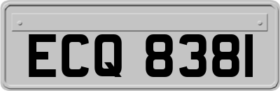 ECQ8381
