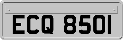 ECQ8501