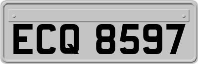 ECQ8597