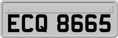 ECQ8665