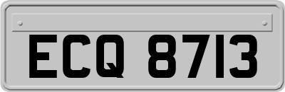 ECQ8713