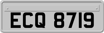 ECQ8719