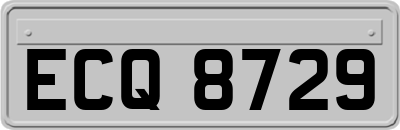 ECQ8729